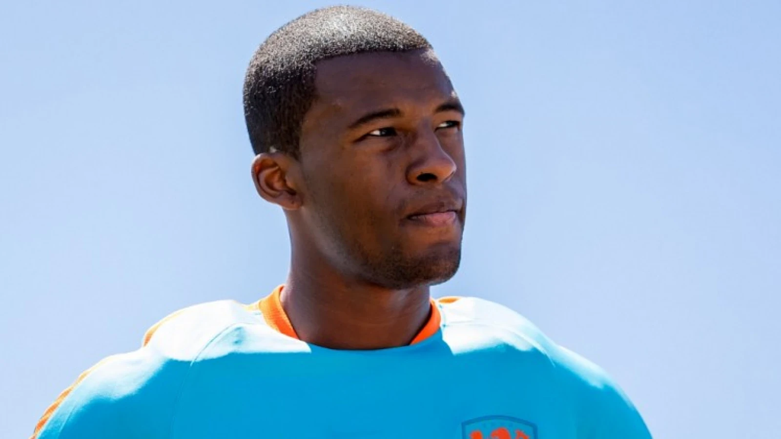 'Wijnaldum voor duizelingwekkend bedrag van Newcastle naar Liverpool'